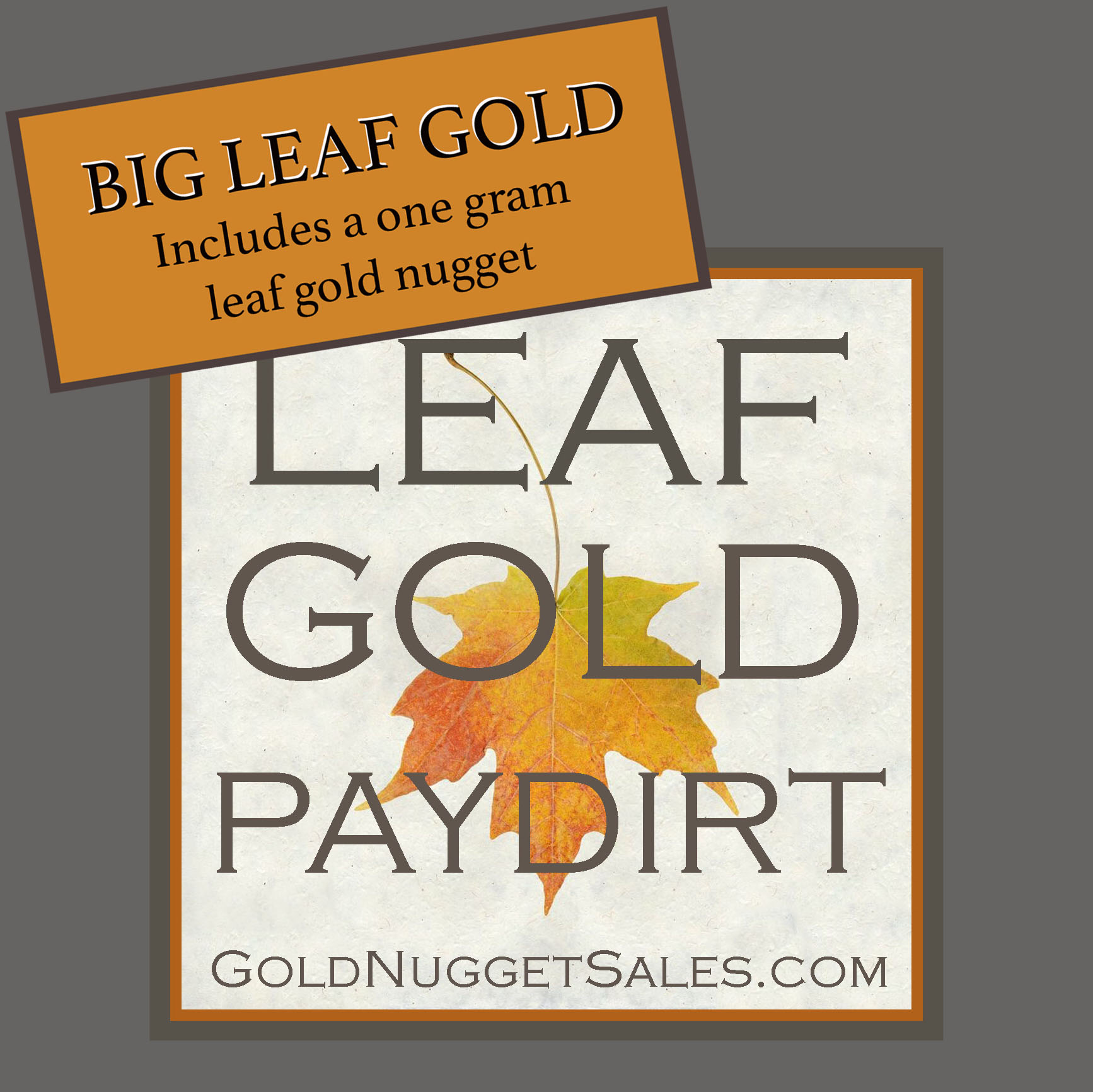Large Leaf Gold Nuggets - Includes a 1 gram Leaf Gold Nugget